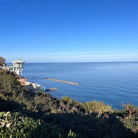 12 Living Ancona